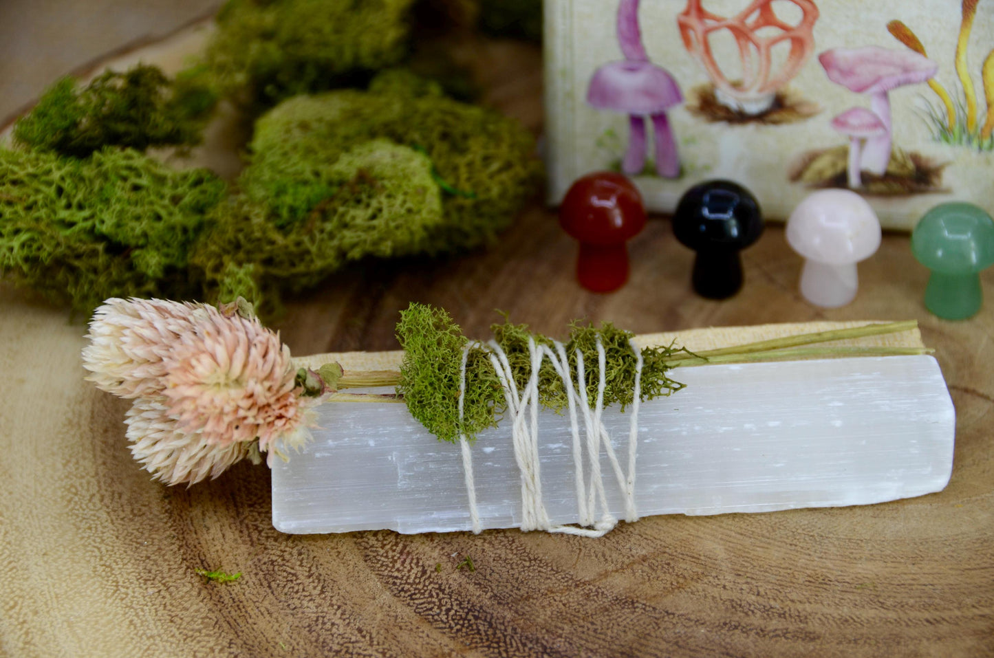 Mushroom Spirit Oracle Deck Bundle