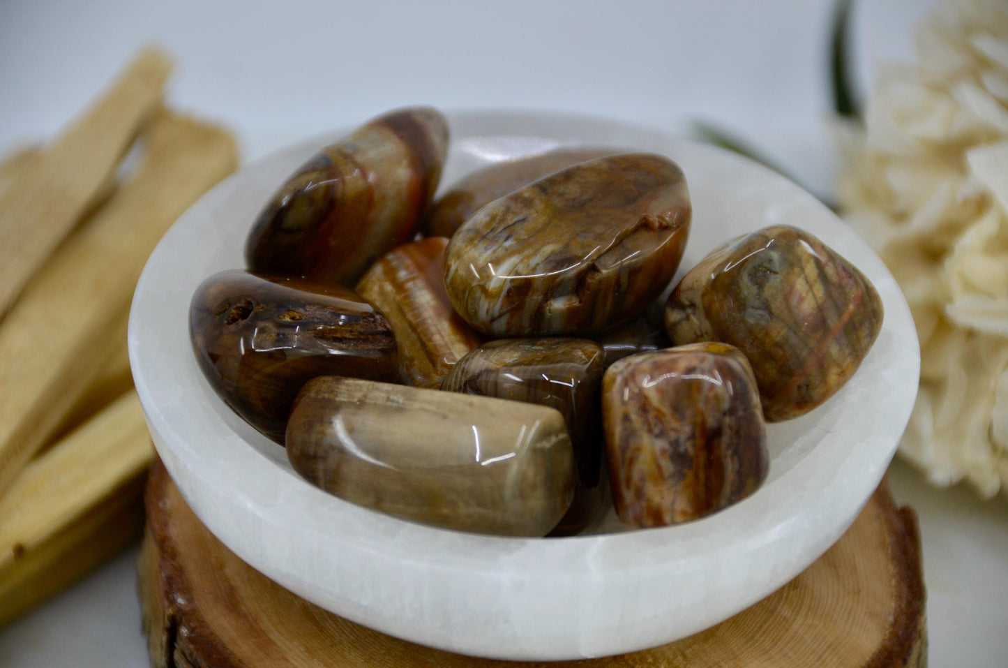 Petrified Wood Tumbled Crystal