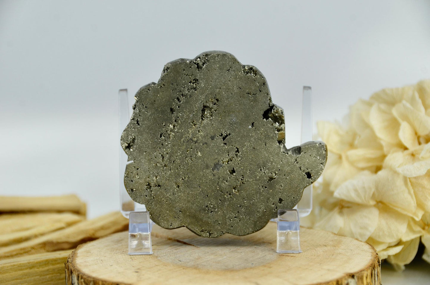 Pyrite Crystal Ammonite Carving