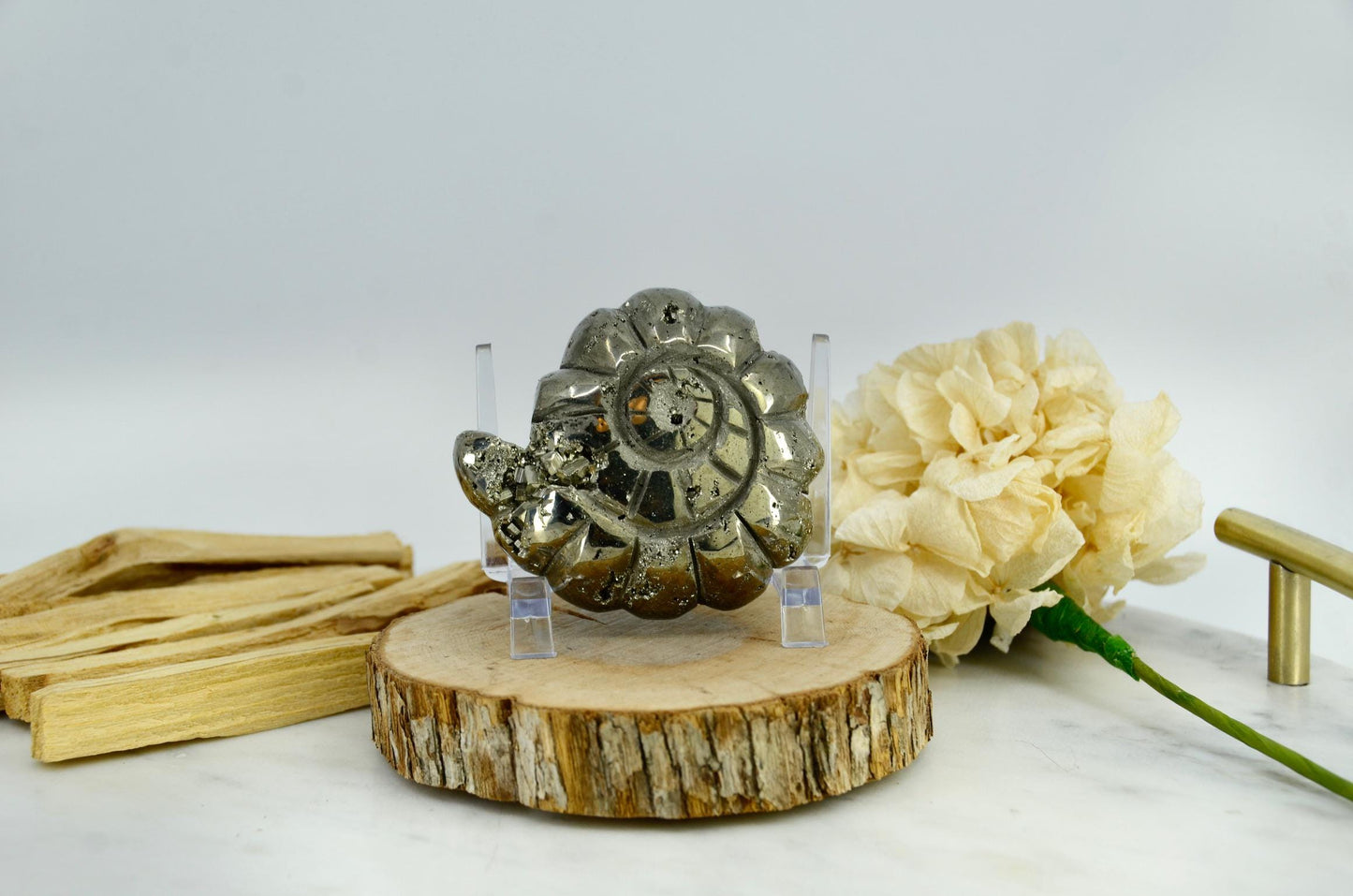 Pyrite Crystal Ammonite Carving