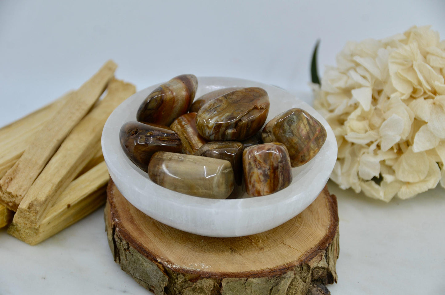 Petrified Wood Tumbled Crystal