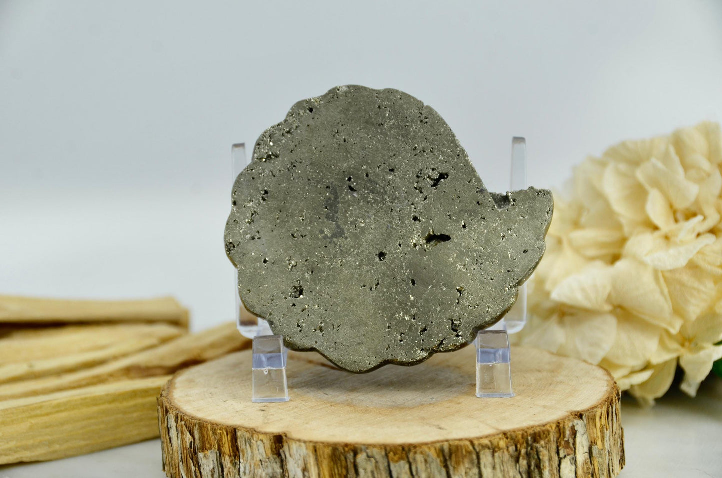 Pyrite Crystal Ammonite Carving