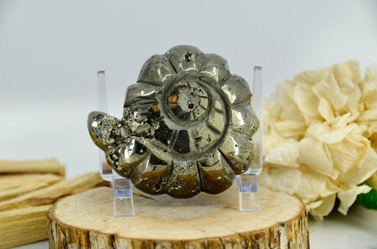 Pyrite Crystal Ammonite Carving