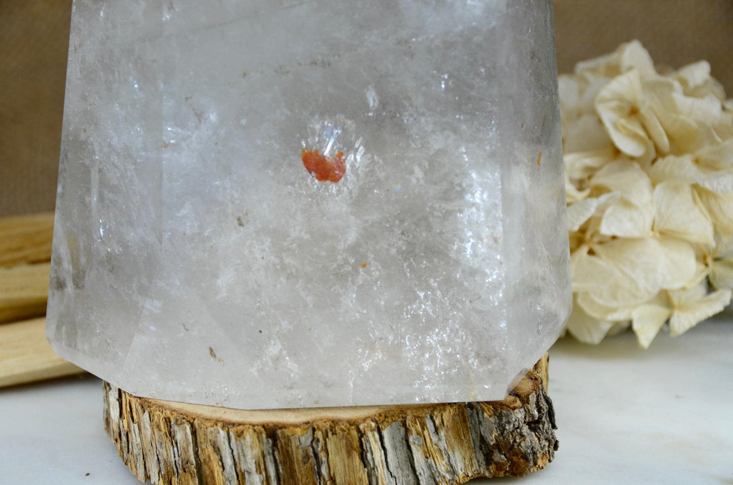 Shaman's Dream Quartz Point