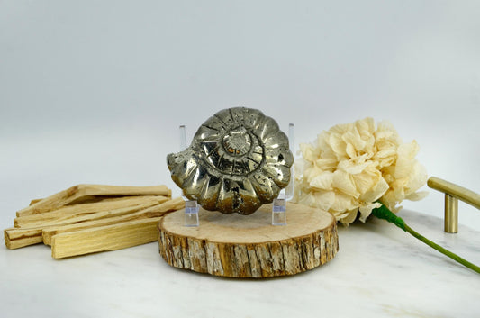 Pyrite Crystal Ammonite Carving