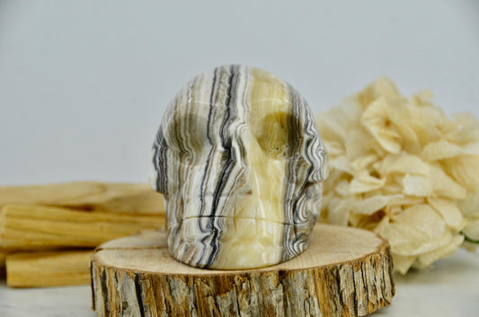 Black Phantom Calcite Skull Carving