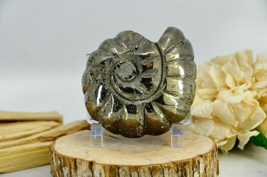 Pyrite Crystal Ammonite Carving