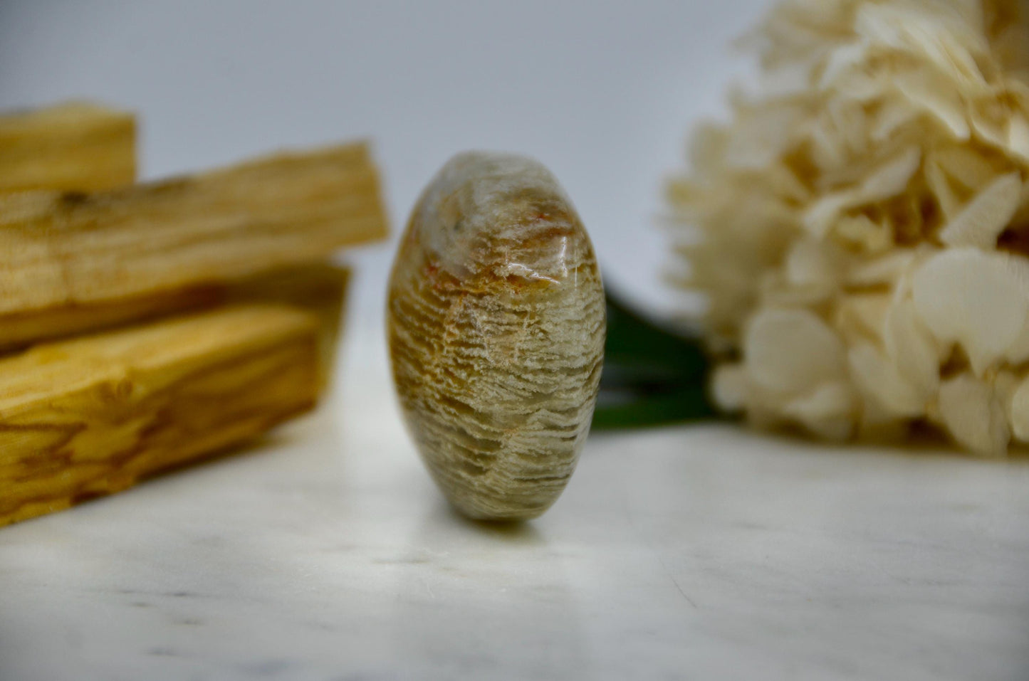Shaman's Dream Quartz Palmstone