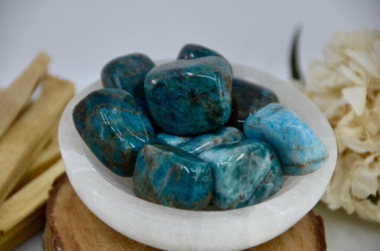 Apatite Tumbled Crystal