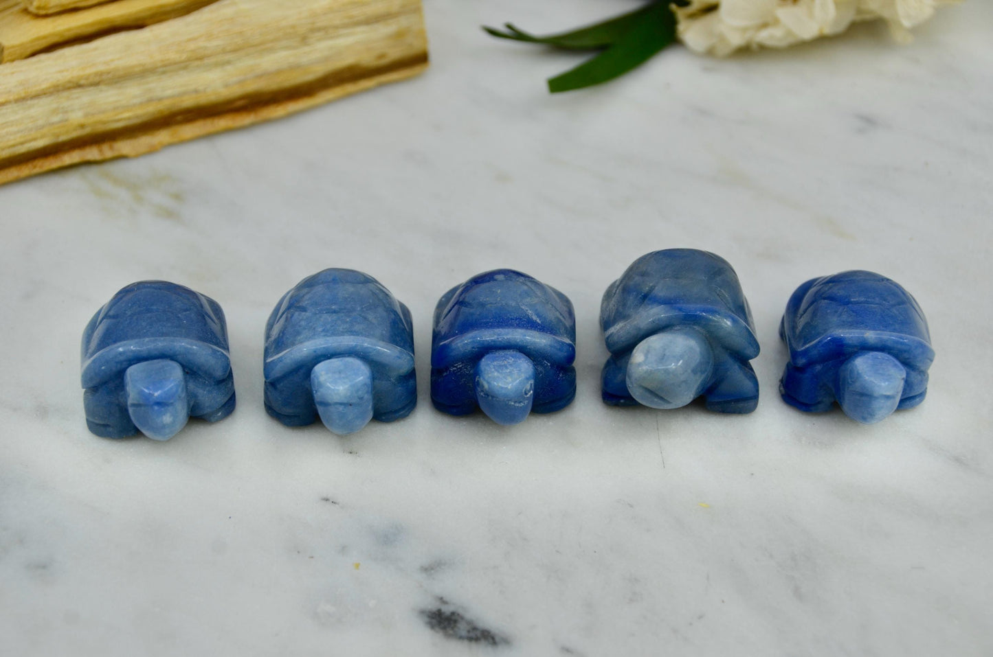 Crystal Turtles