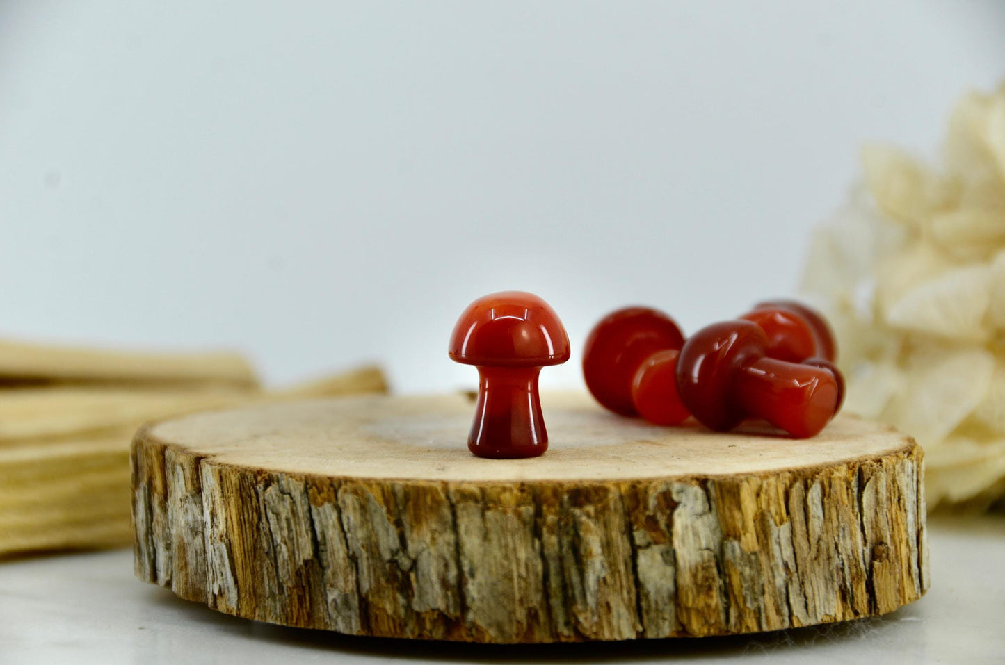 Mini Carnelian Mushroom