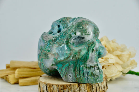 Hand Carved Quantum Quattro Skull