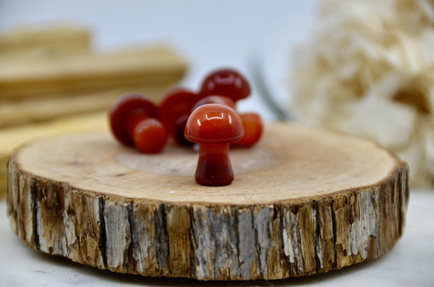 Mini Carnelian Mushroom