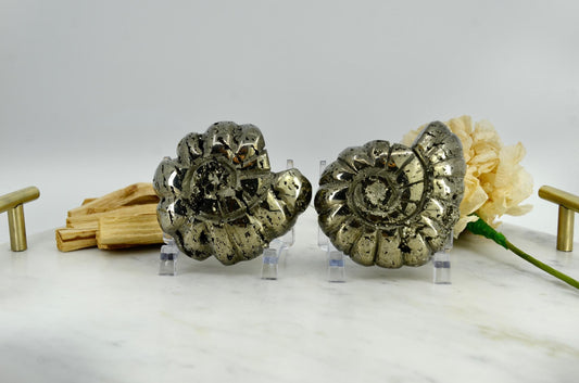 Large Pyrite Crystal Ammonite Carving