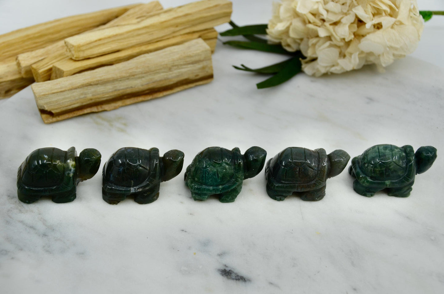 Crystal Turtles