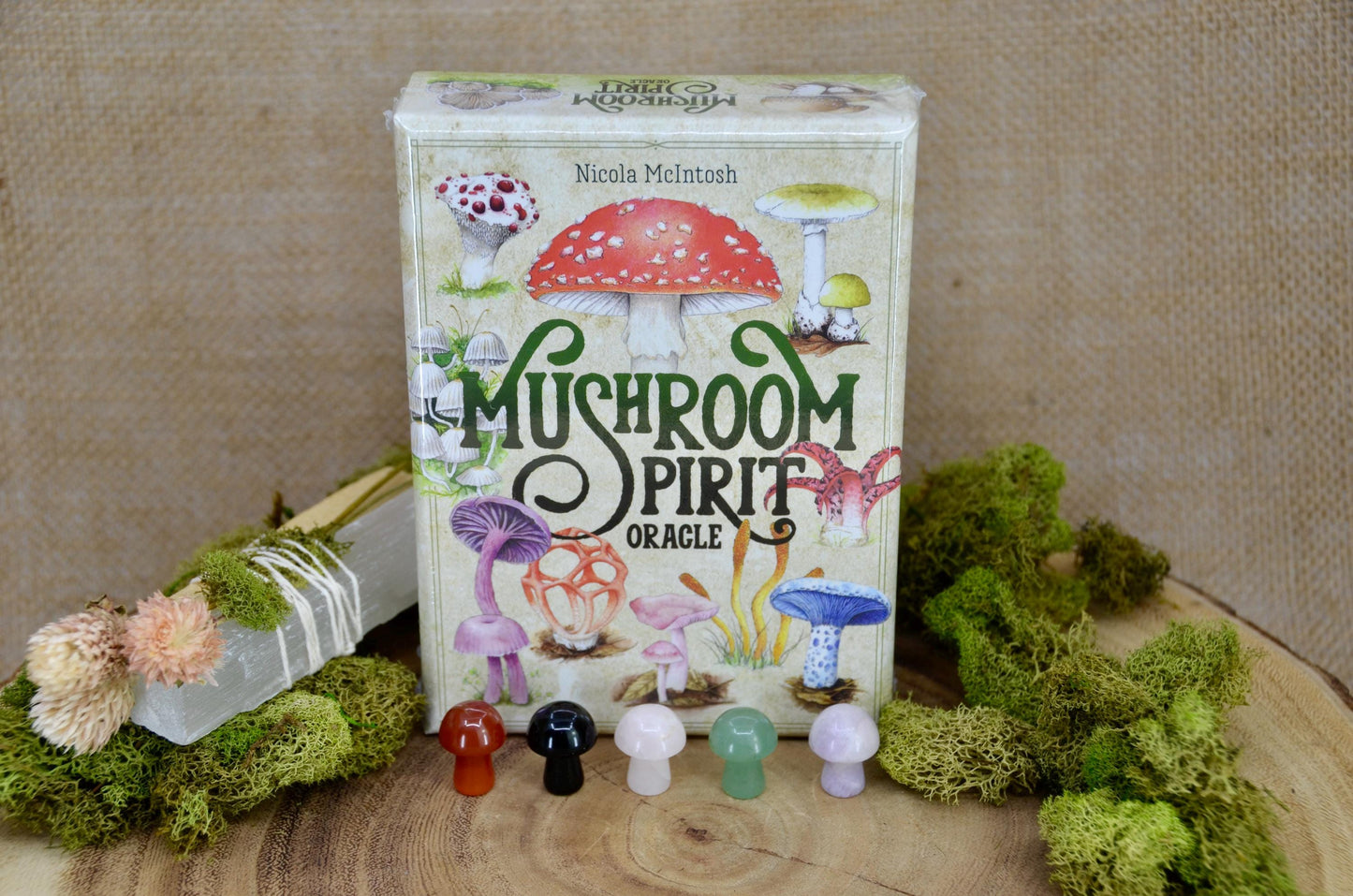 Mushroom Spirit Oracle Deck Bundle