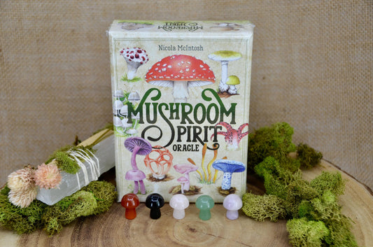 Mushroom Spirit Oracle Deck Bundle