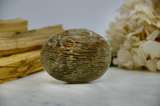 Shaman's Dream Quartz Palmstone