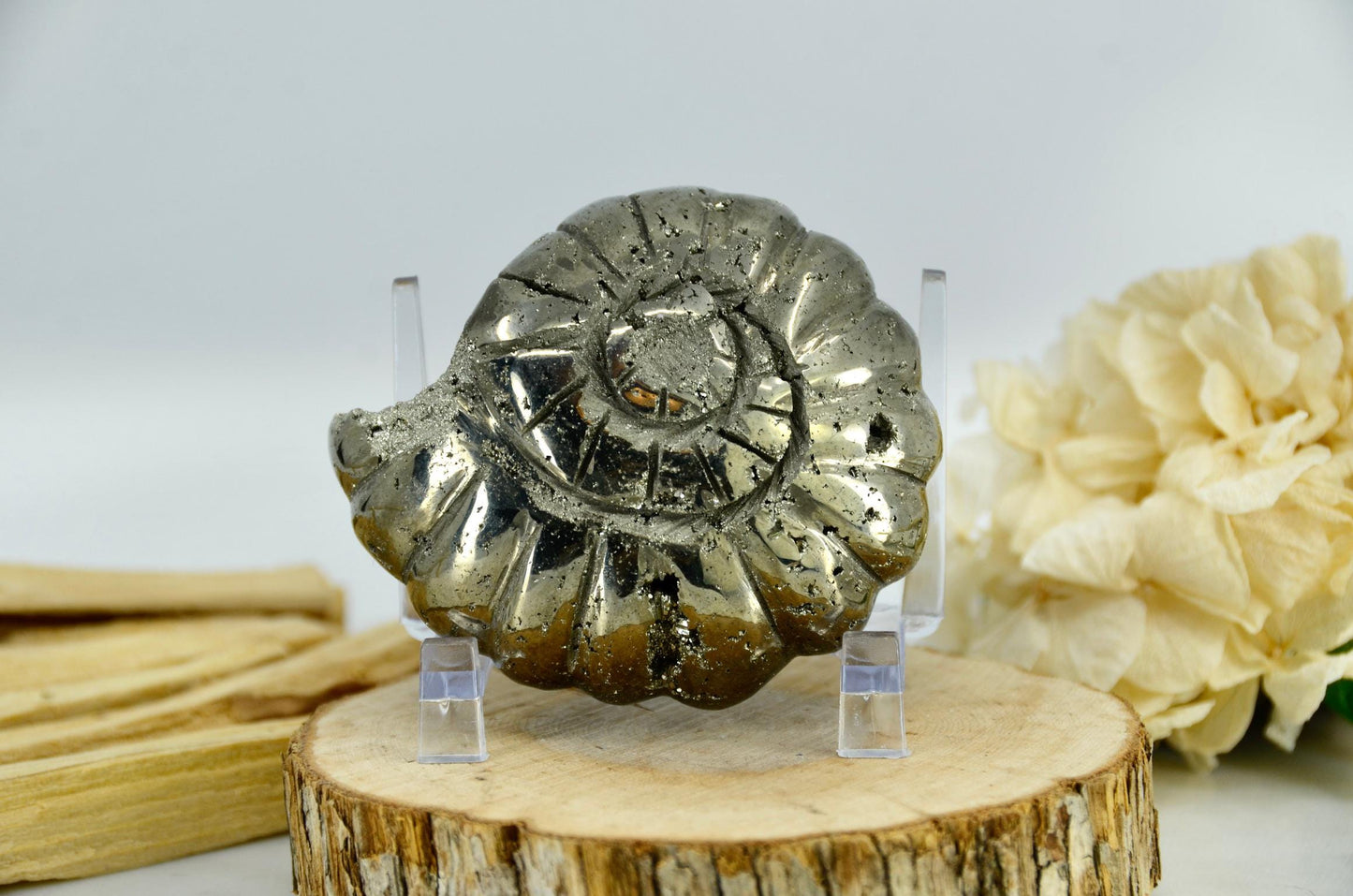 Pyrite Crystal Ammonite Carving