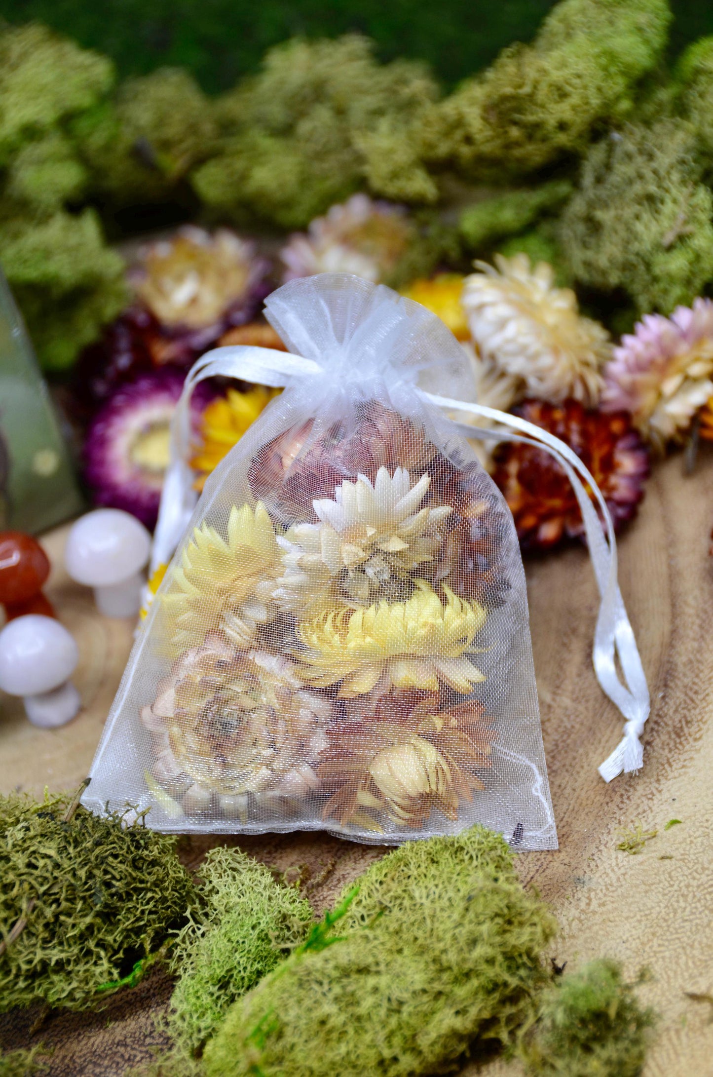 Alice in Wonderland Oracle Card Bundle