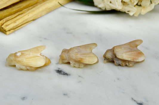 Honey Opal Bee Carving