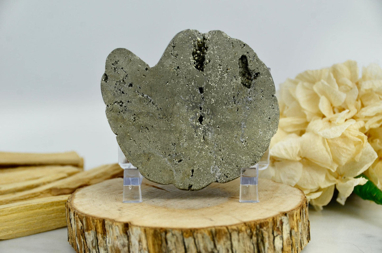 Pyrite Crystal Ammonite Carving