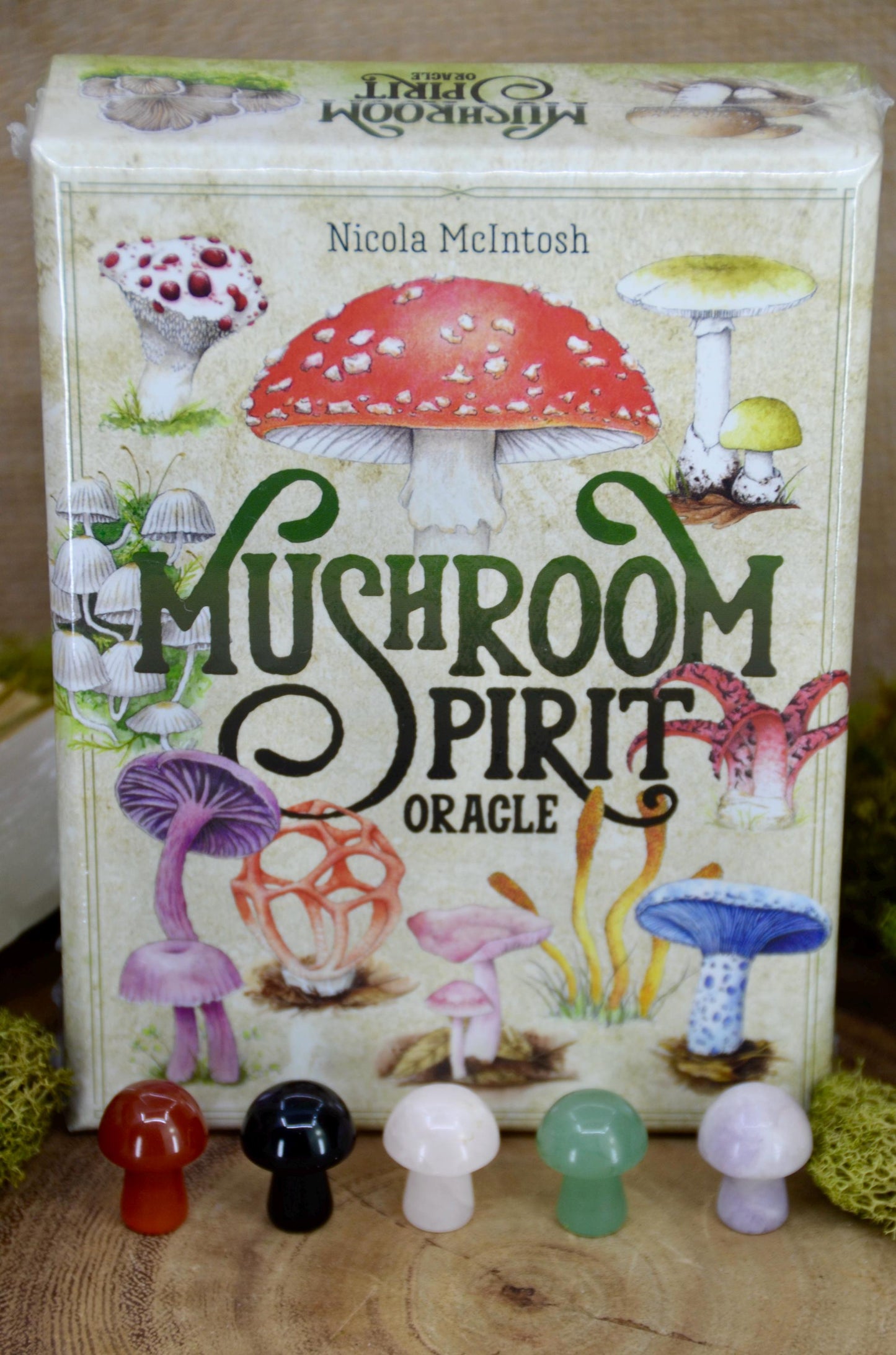 Mushroom Spirit Oracle Deck Bundle